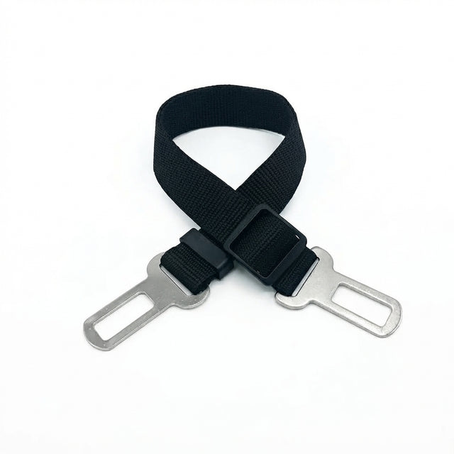 Cinturón de Seguridad